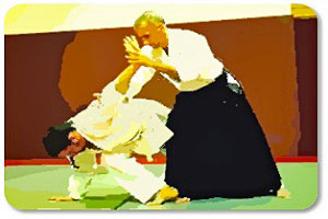 Kampfsport Aikido