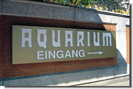 Aquarium Berlin
