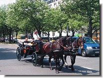 Berlin per Droschke entdecken