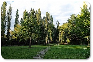 Bäkepark in Steglitz