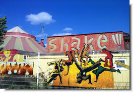 Shake
