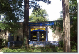 Figurentheater Grashüpfer