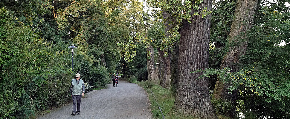 Weisensee Park mit Spaziergänger