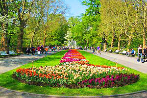 Wandern durch den Frühling