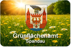 Grünflächenamt Spandau