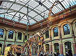 Museum für Naturkunde