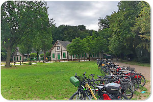 Wirtshaus Zur Pfaueninsel Wirtshaus Pfaueninsel