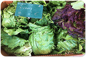 Berliner Markthalle mit frische Angebote Angebote Markthallen Berlin
