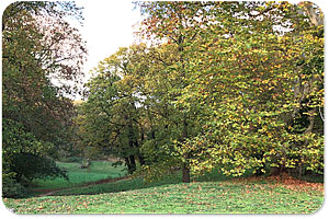 Schillerpark Berlin Reinickendorf