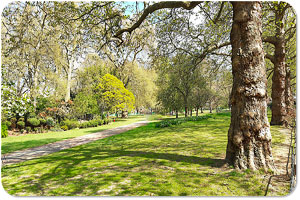 Schlosspark am Schloss Bellevue Schlosspark Bellevue