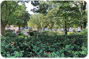 Volkspark am Weinberg