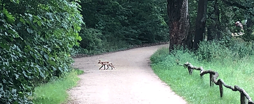 Rad und Wanderweg