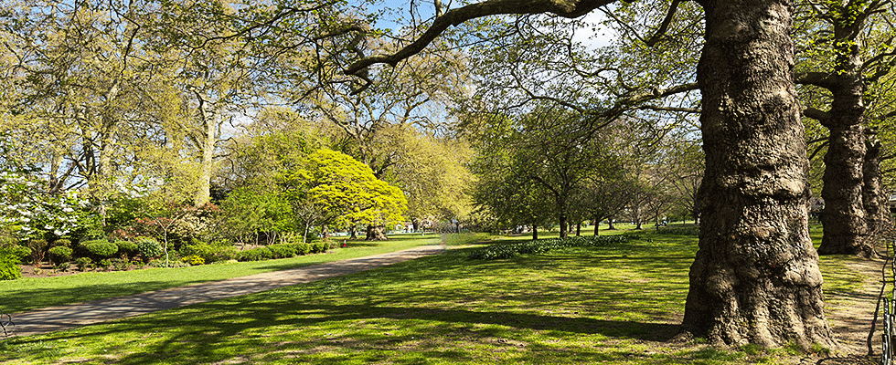 Schlosspark