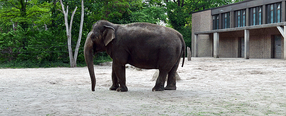 Zoologischer Garten Berlin