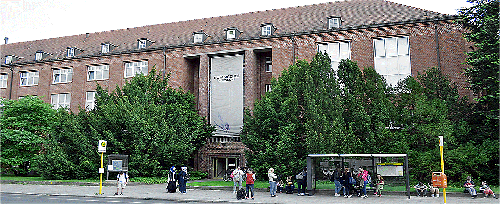 Botanische Museum Berlin