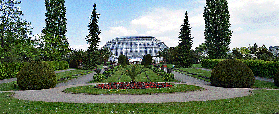 Botanischer Garten in Berlin
