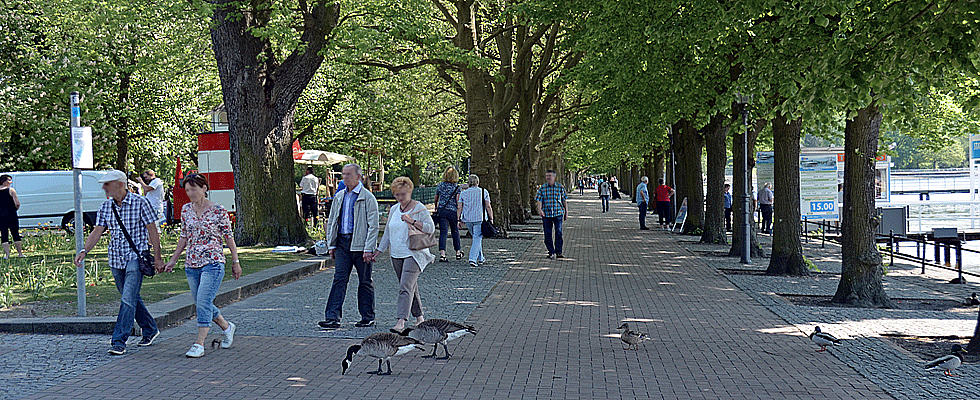 Parkanlagen in Berlin Reinickendorf