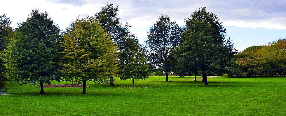 Henriette-Herz-Park
