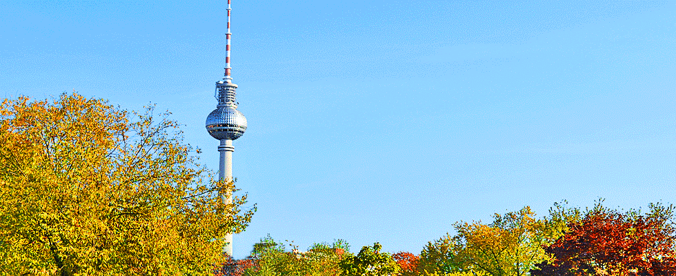 Herbst Eindrücke