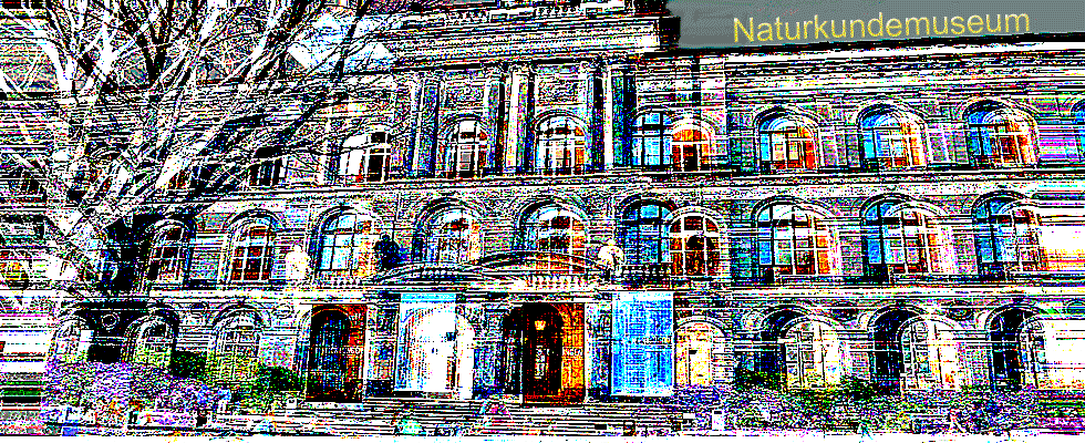 Naturkundemuseum Berlin