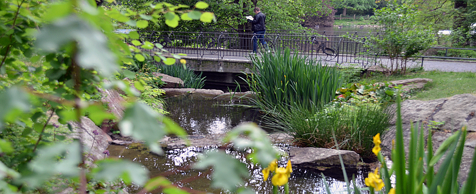 Stadtpark Steglitz in Berlin