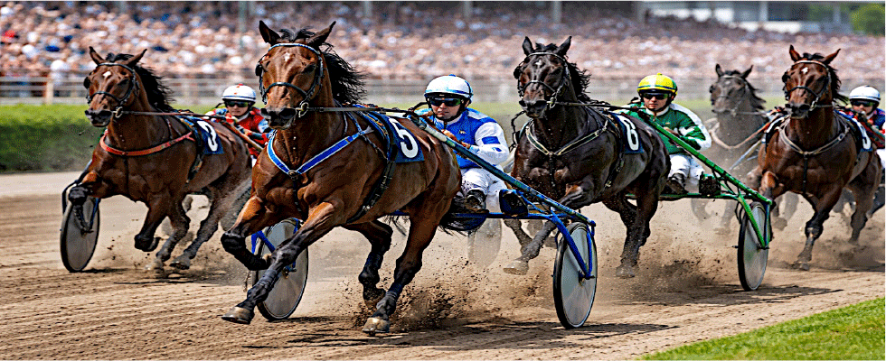 Trabrennbahn Karlshorst