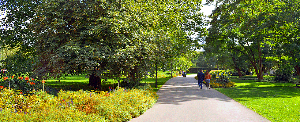 Volkspark Wittenau