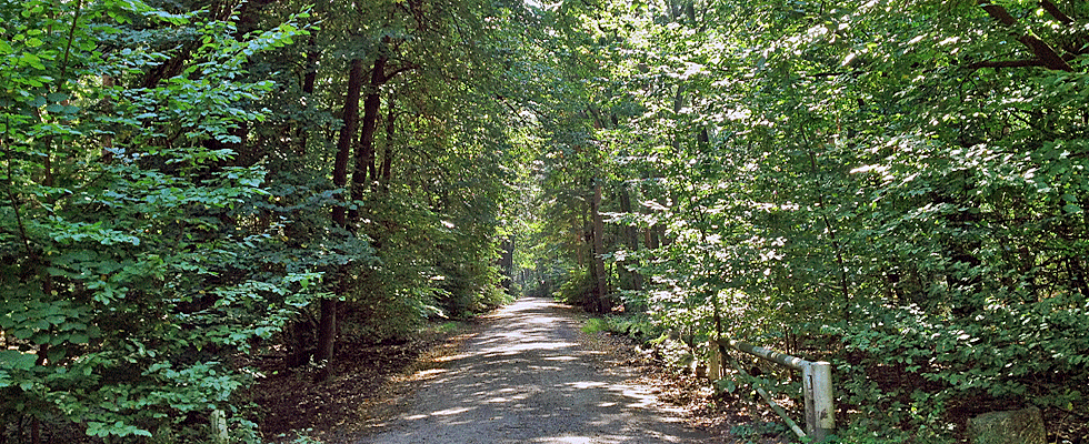 Volkspark Wuhlheide