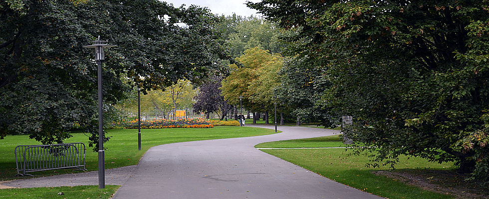 Volkspark am Weinberg in Berlin Mitte