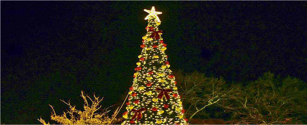 Weihnachtsmarkt an der Grunewaldkirche