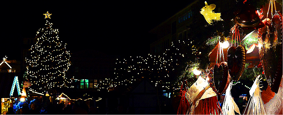 Auf dem Dorf der Ökoweihnachtsmarkt und Weihnachtsmarkt Malchow