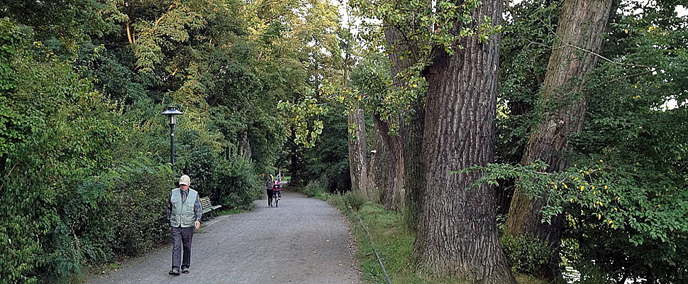 Weisensee Park mit Spaziergänger