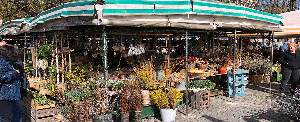 Wochenmarkt Treptow-Köpenick