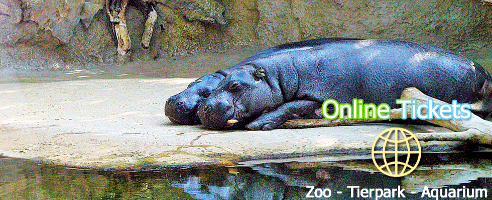 Online Ticket für Zoo, Tierpark und Aquarium in Berlin