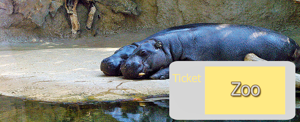Oooh das ist bequem - Zoo Online Tickets - mmmh Zoo Berlin Ticket